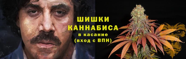 ПСИЛОЦИБИНОВЫЕ ГРИБЫ Ладушкин
