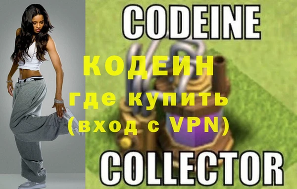 крисы Кулебаки