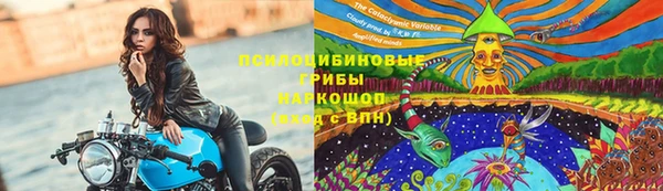 мяу мяу мука Кукмор
