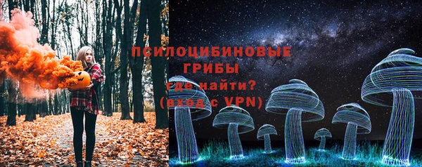 мяу мяу мука Кукмор