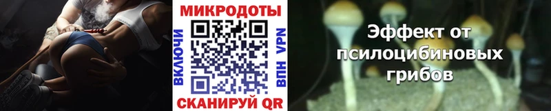 Купить  Плавск  Псилоцибиновые грибы Cubensis 